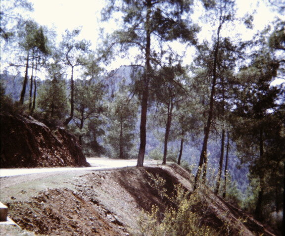 Road through the hills to Troodos