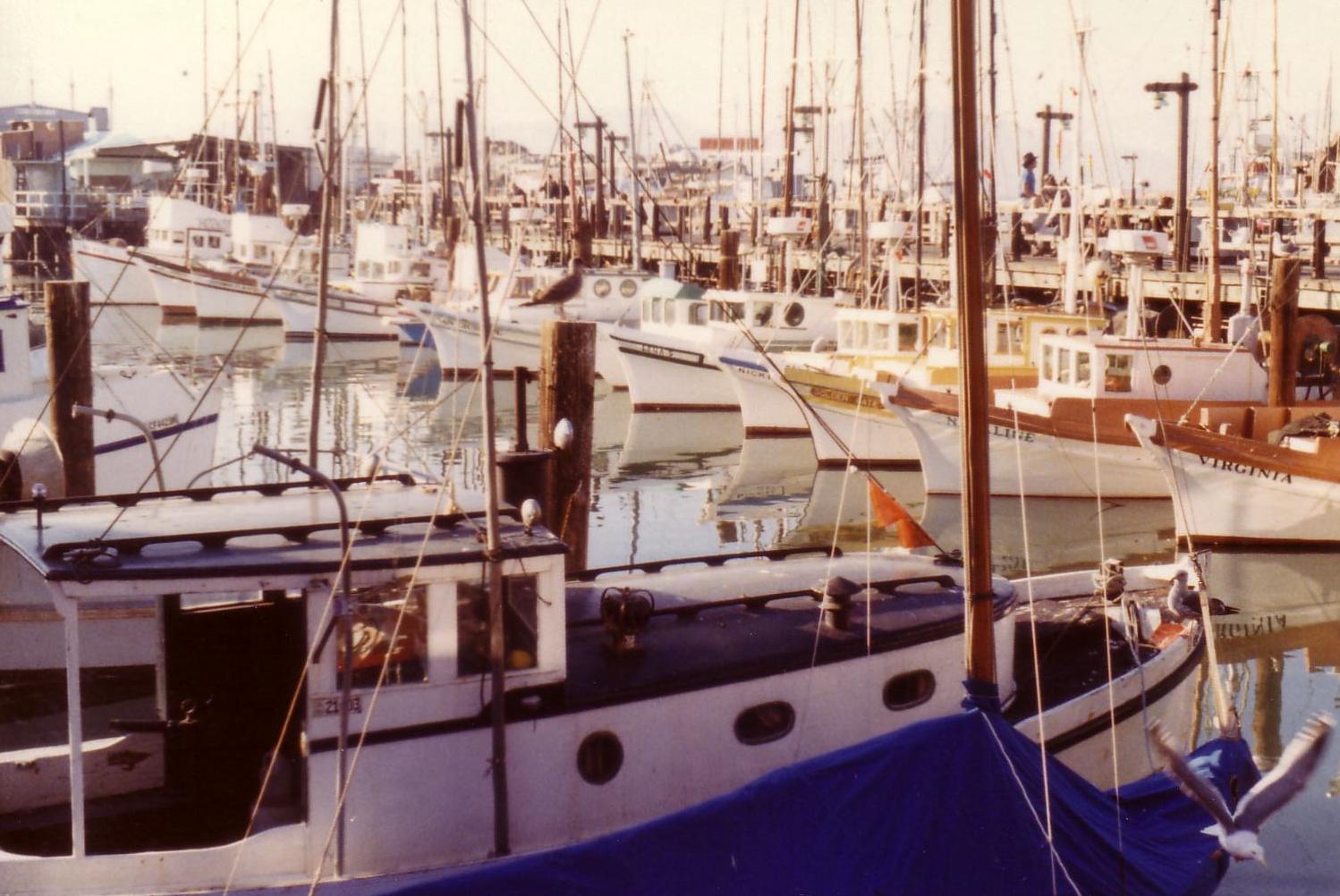 Fishermans Wharf San Fransisco
