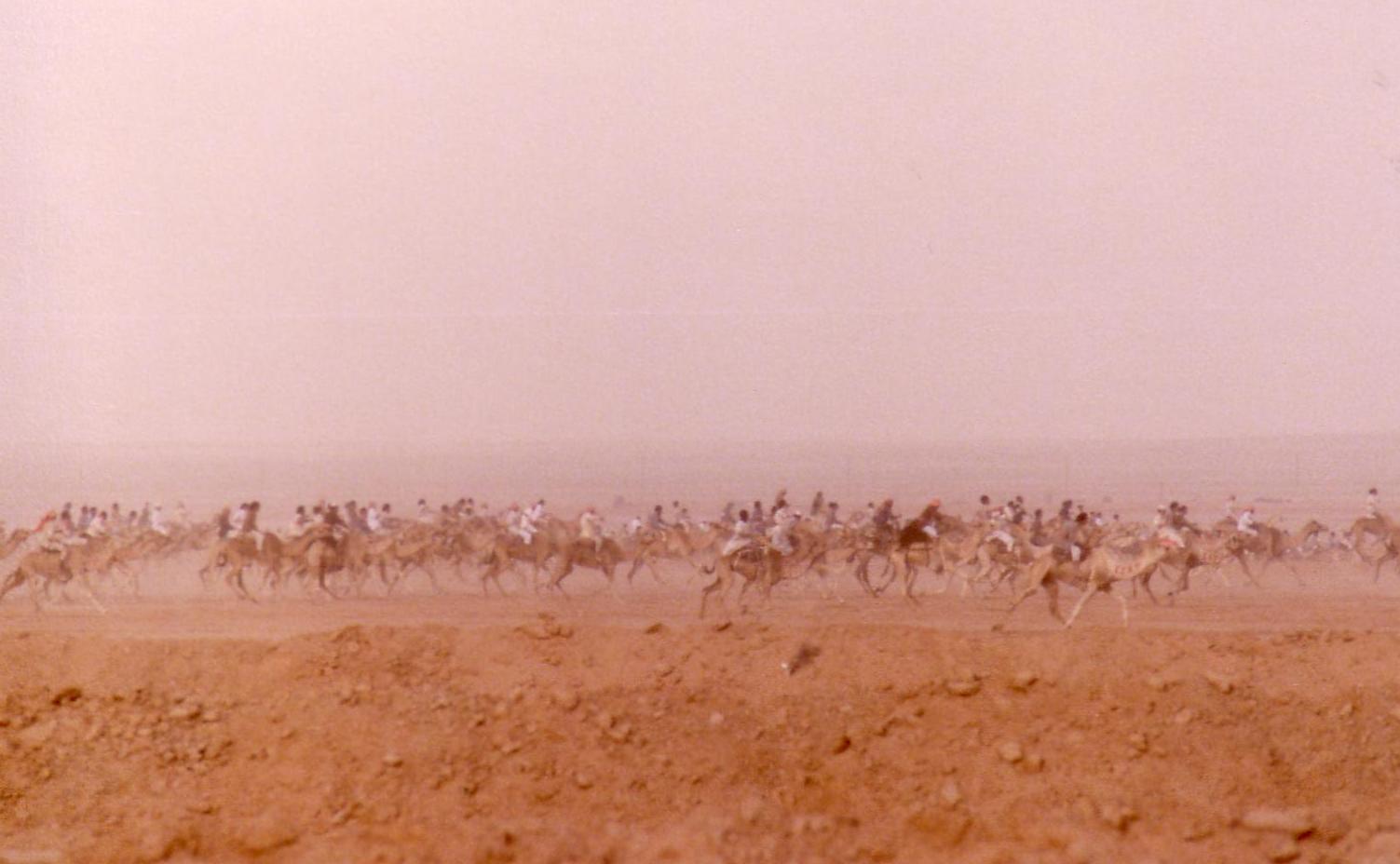 Riyadh camel race