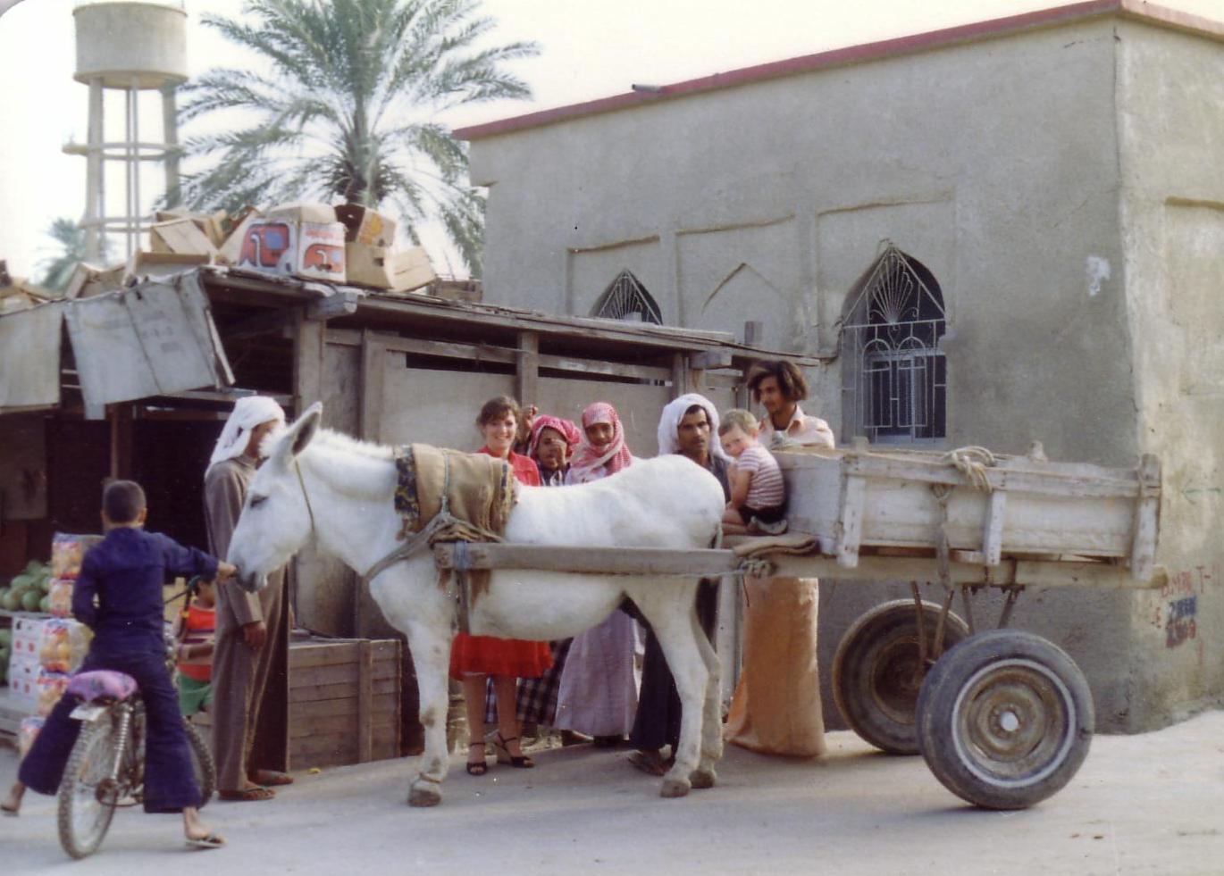 Donkey cart in Tarut