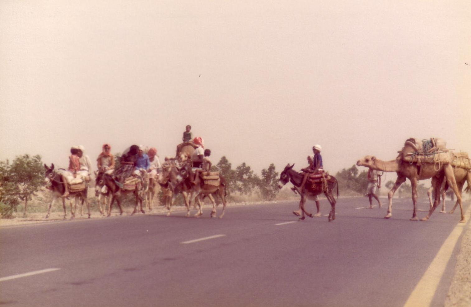 Caravan crossing Ad Darb Jizan road
