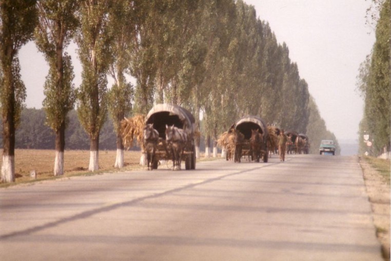 Romanies on the road in Romania