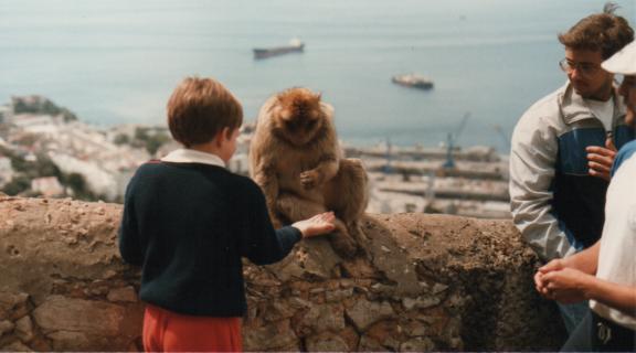 Feeding the apes in Gibraltar