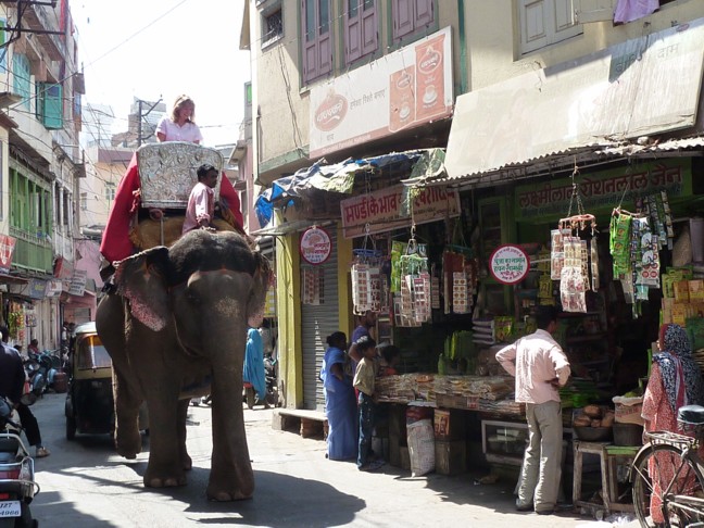 Elephant ride in Udaipur