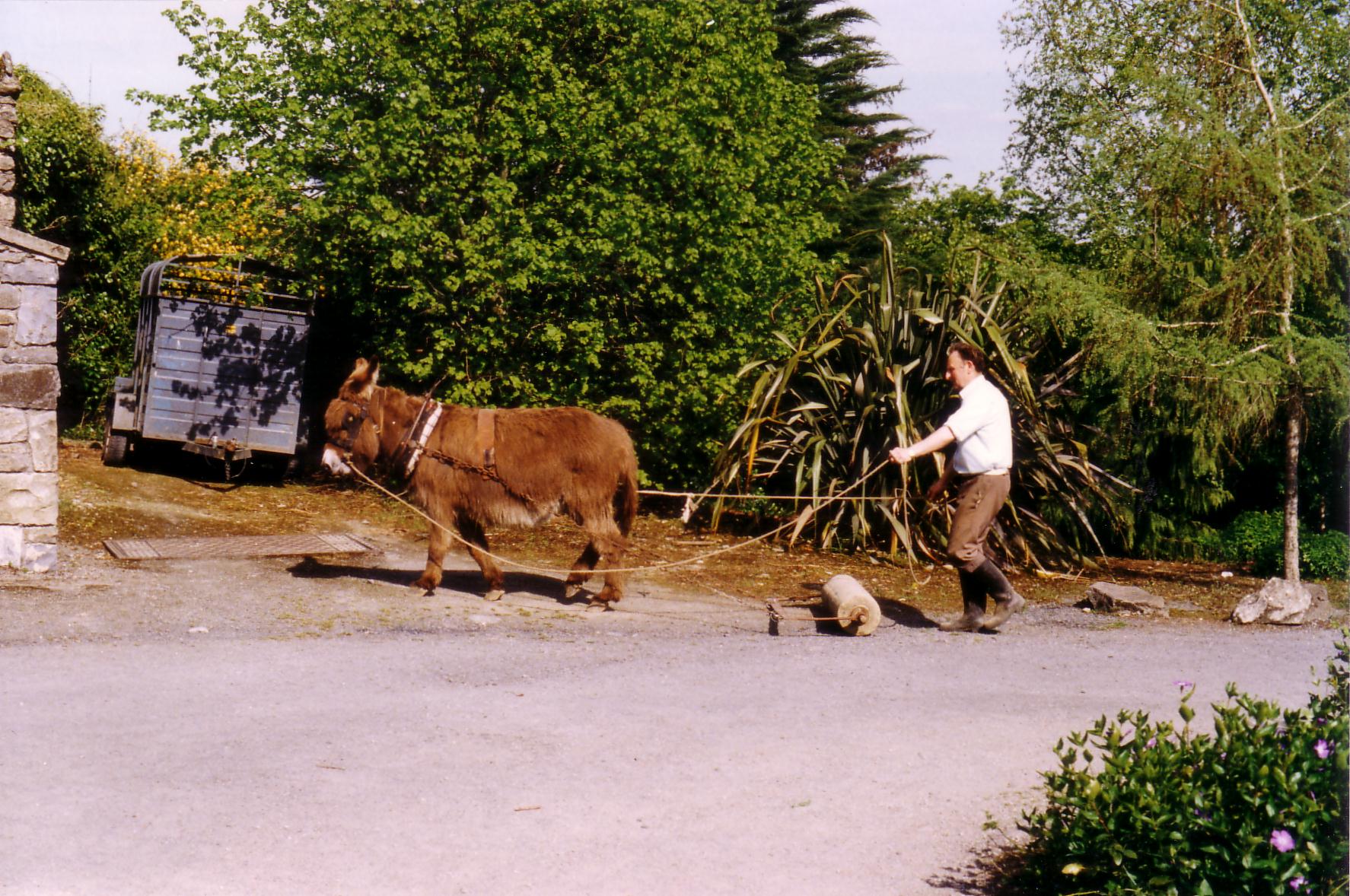 Donkey powered roller at Bunratty Folk Park