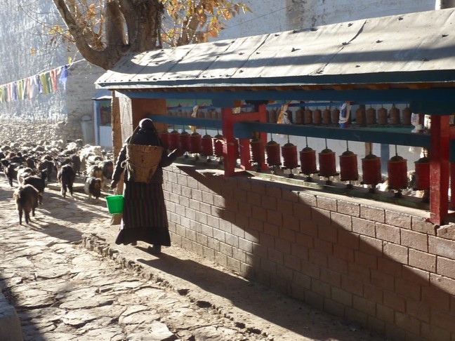 Lo Manthang prayer wheels and goatherd