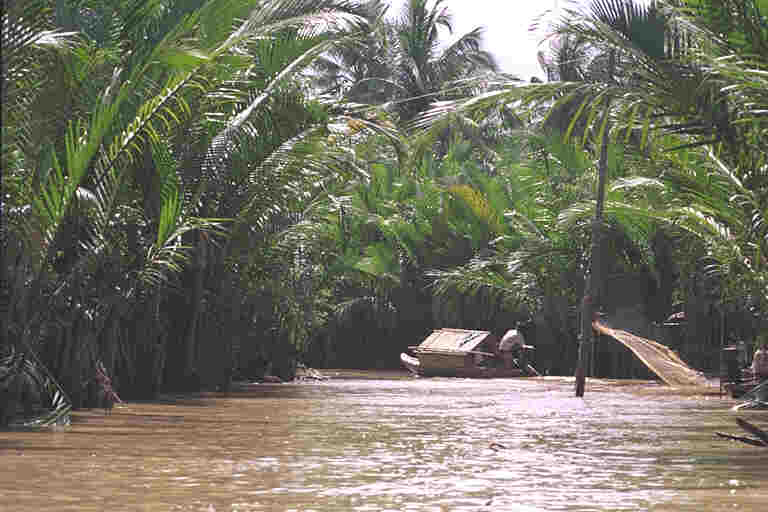 Mekong delta creek