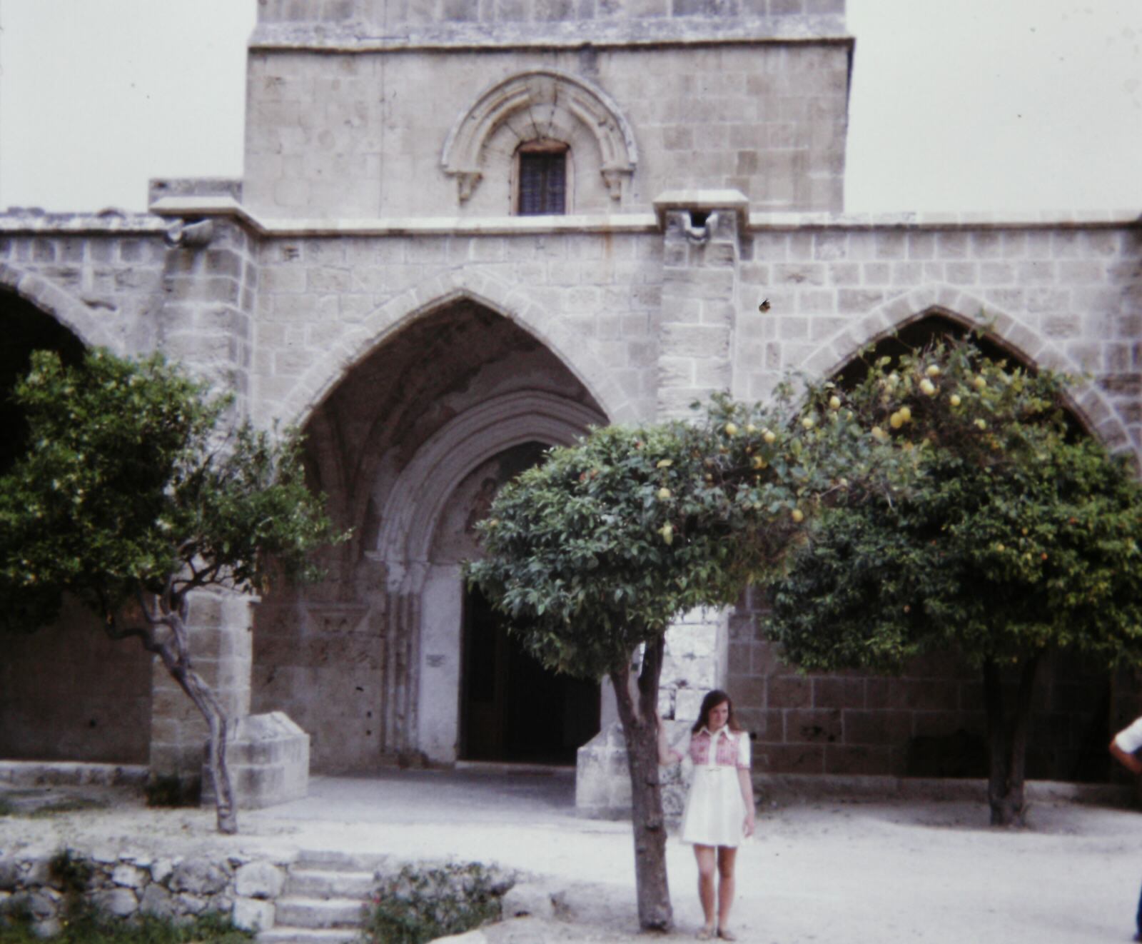 A grafted orange and lemon tree at Bellapais Abbey, Cyprus