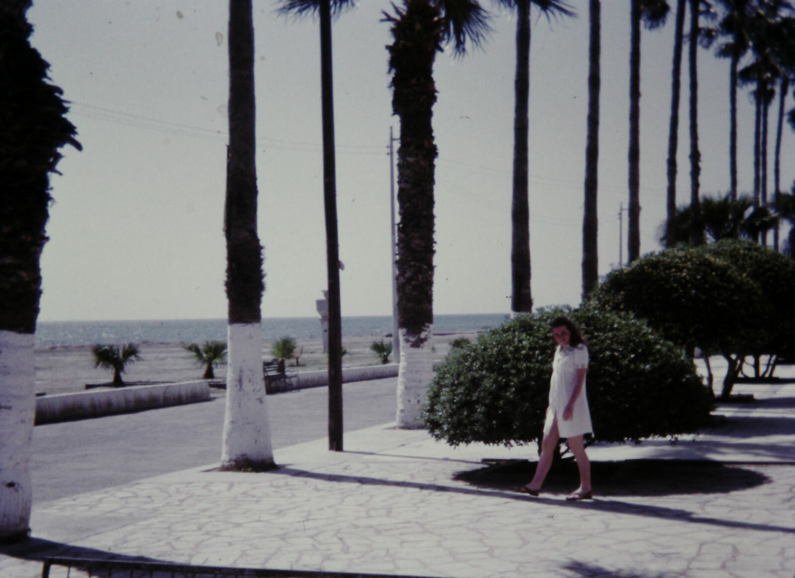 On the sea-front at Larnaca, Cyprus