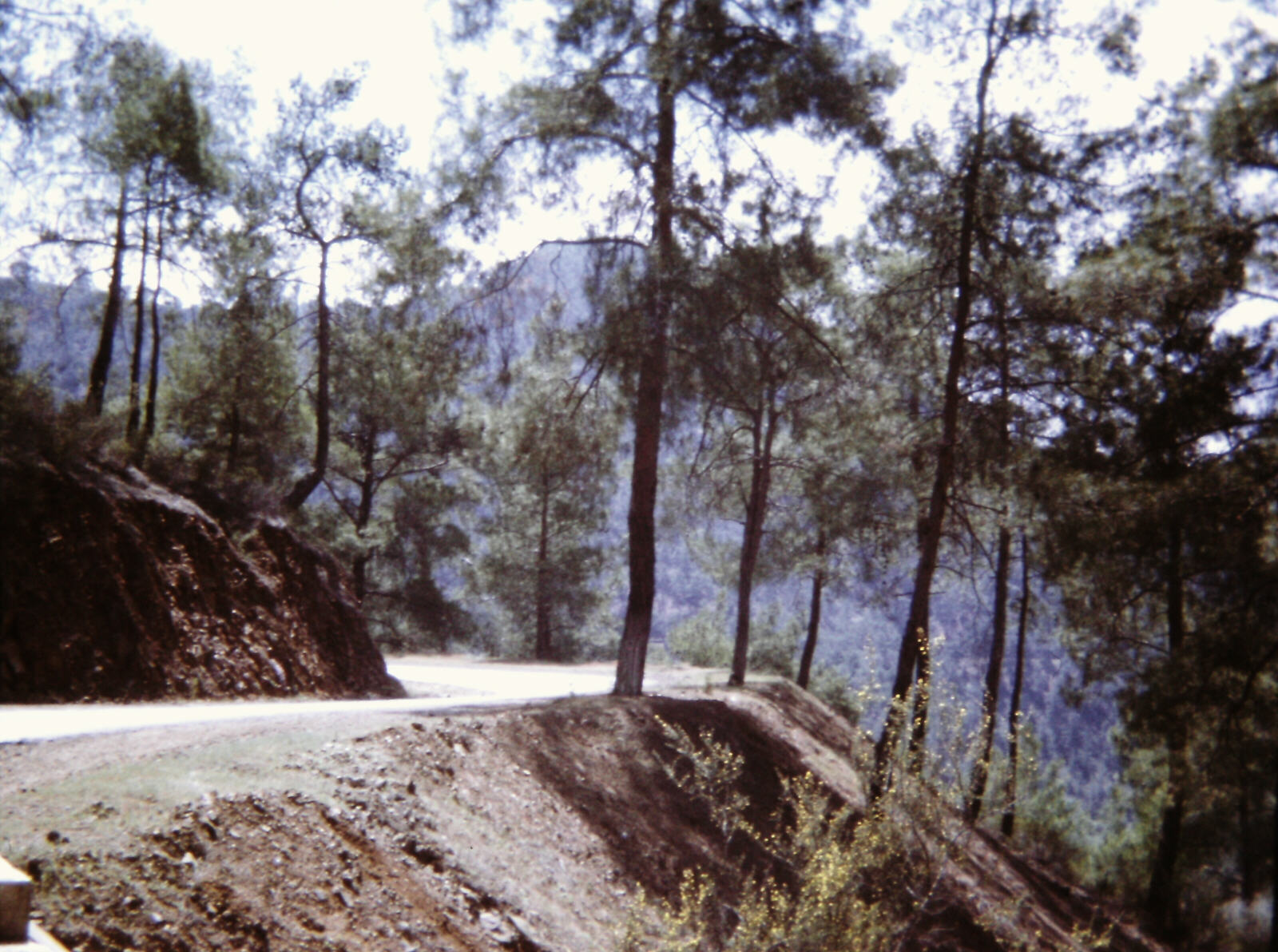 Road through the Troodos mountains in Cyprus