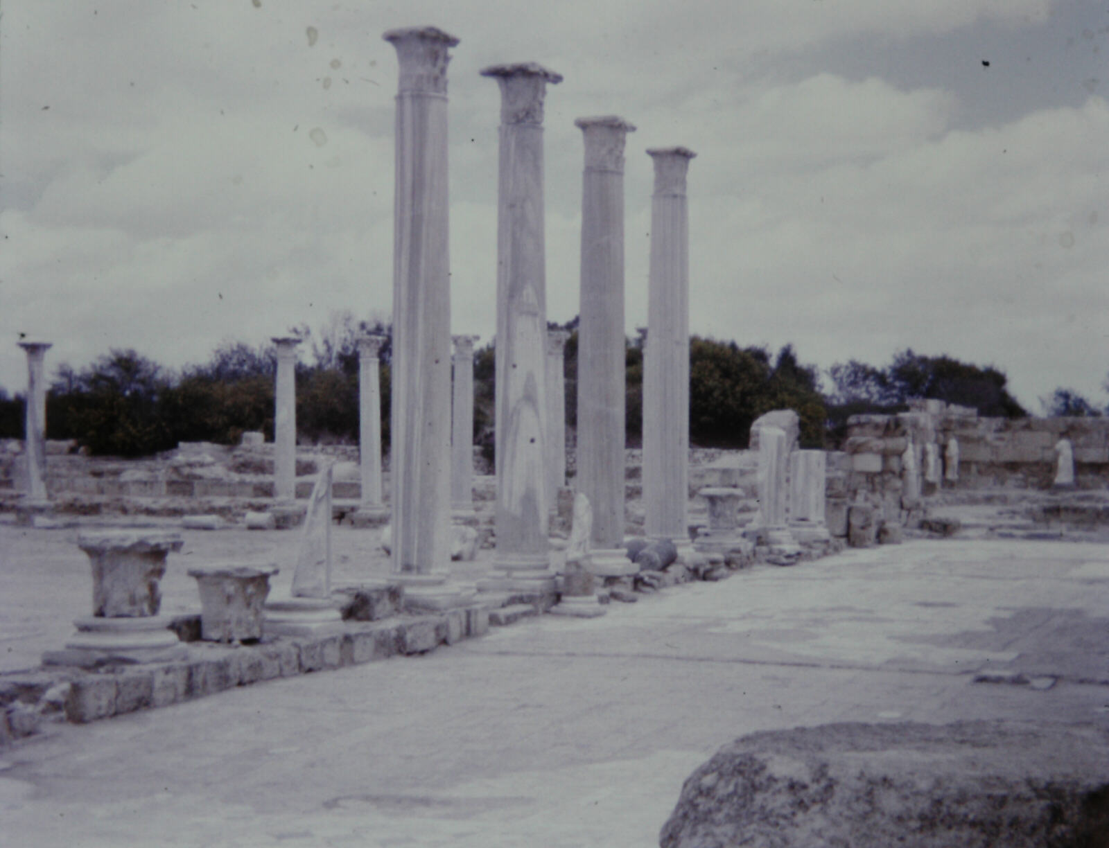 Columns in the gymnasium at Salamis Roman remains near Famagusta, Cyprus