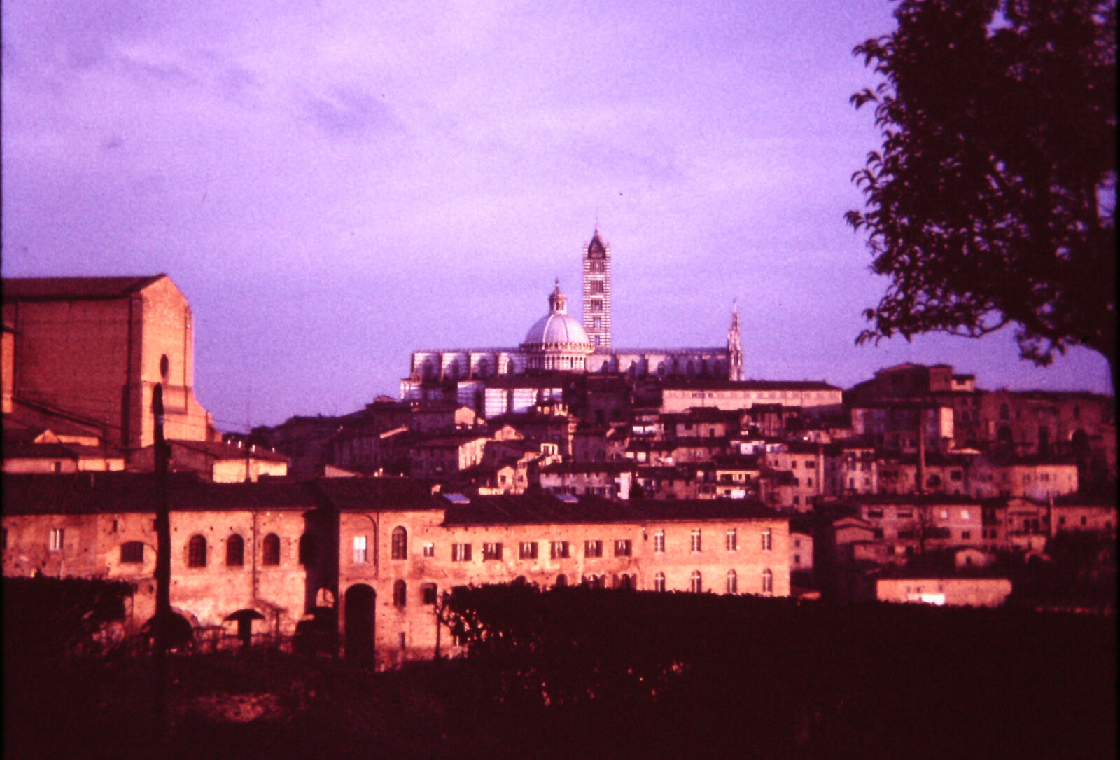 The city of Siena at dusk