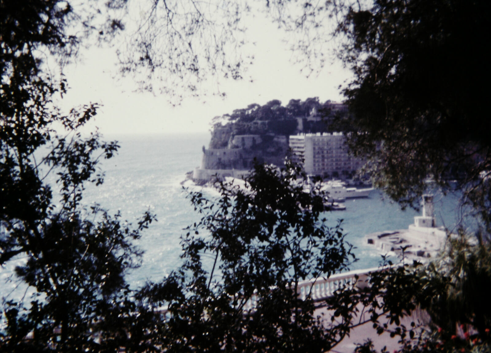 Monaco harbour from the casino gardens