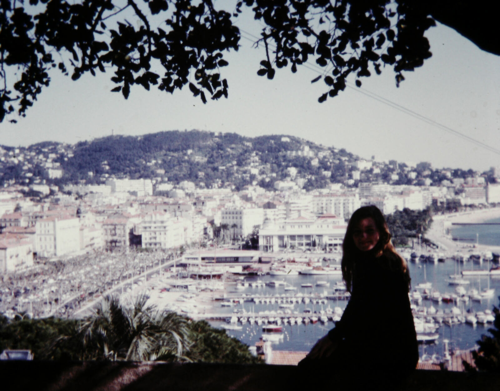 Cannes port from the hill