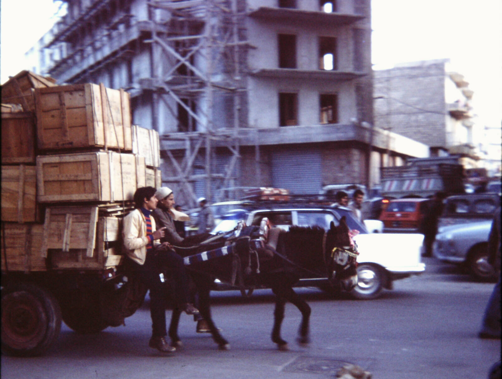 A large cart and a small donkey in Tripoli, Libya