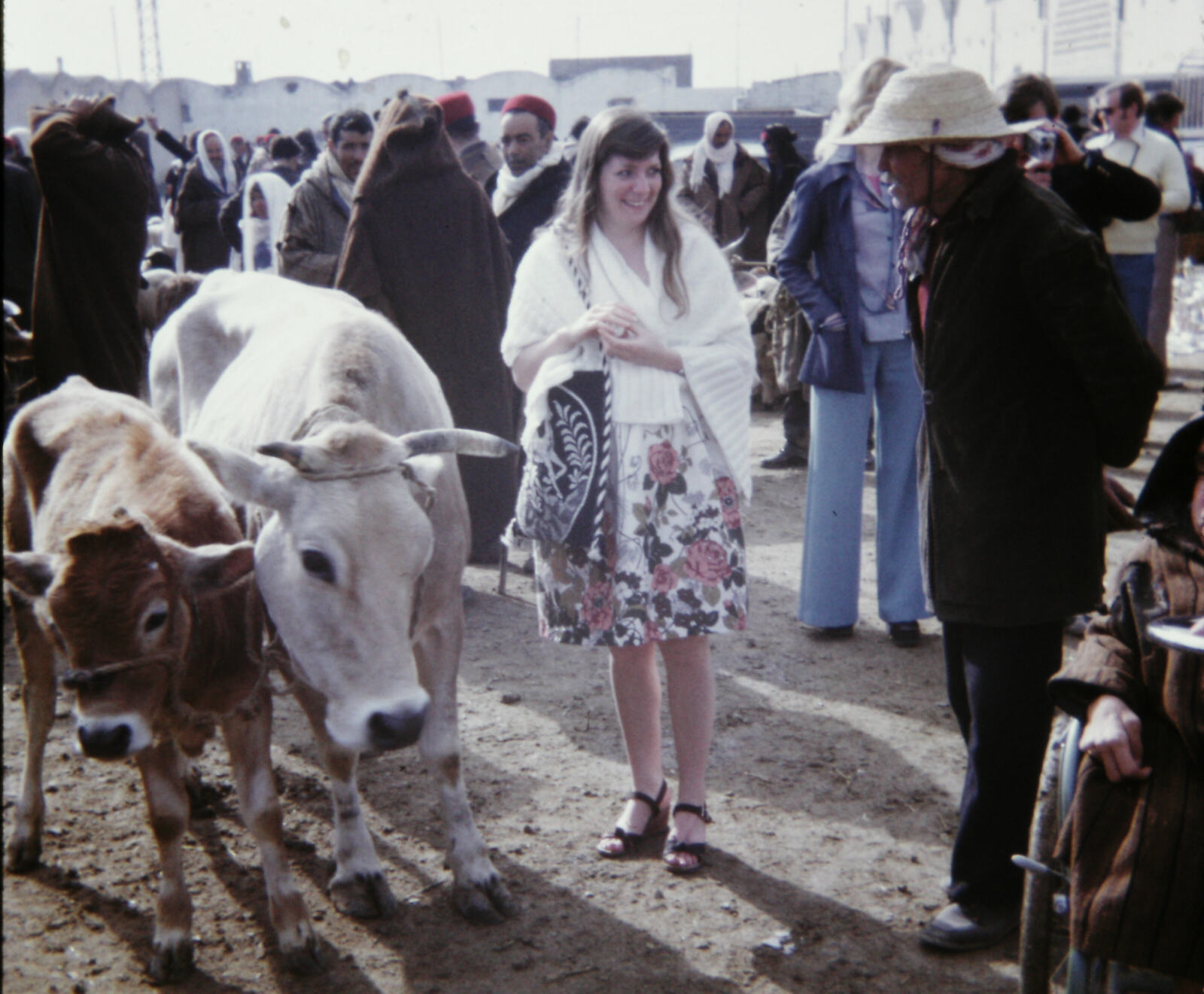 In Nabeul livestock market in Tunisia