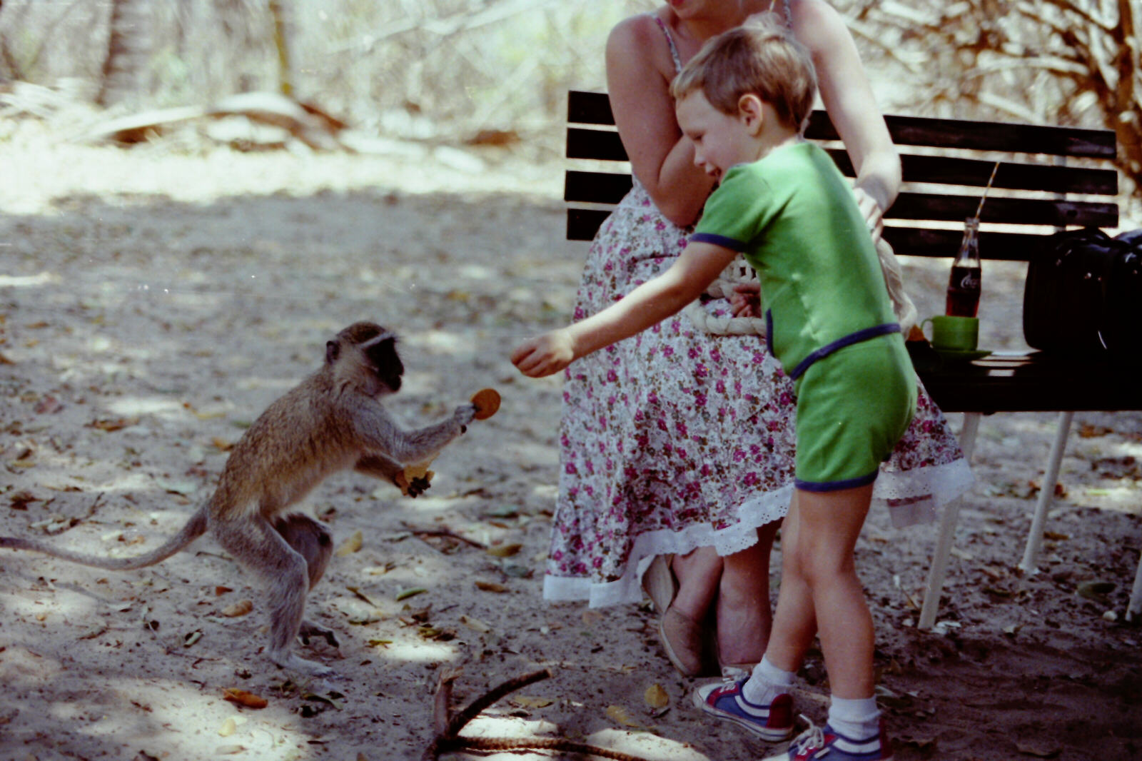 Feeding the monkeys on Kandaha Island in the Zambezi River near Victoria Falls