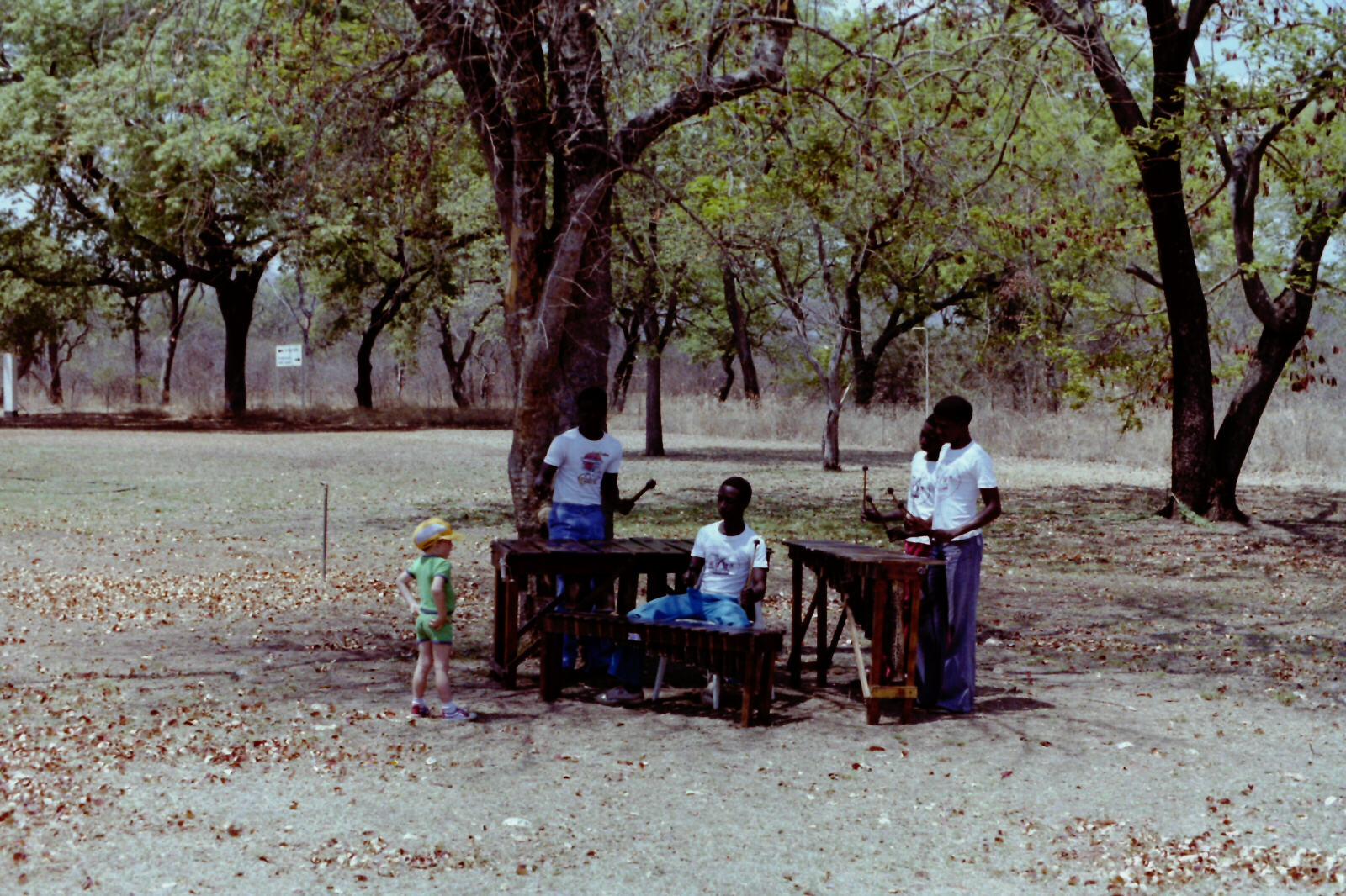 Steel band at the Casino hotel, Victoria Falls, Zimbabwe