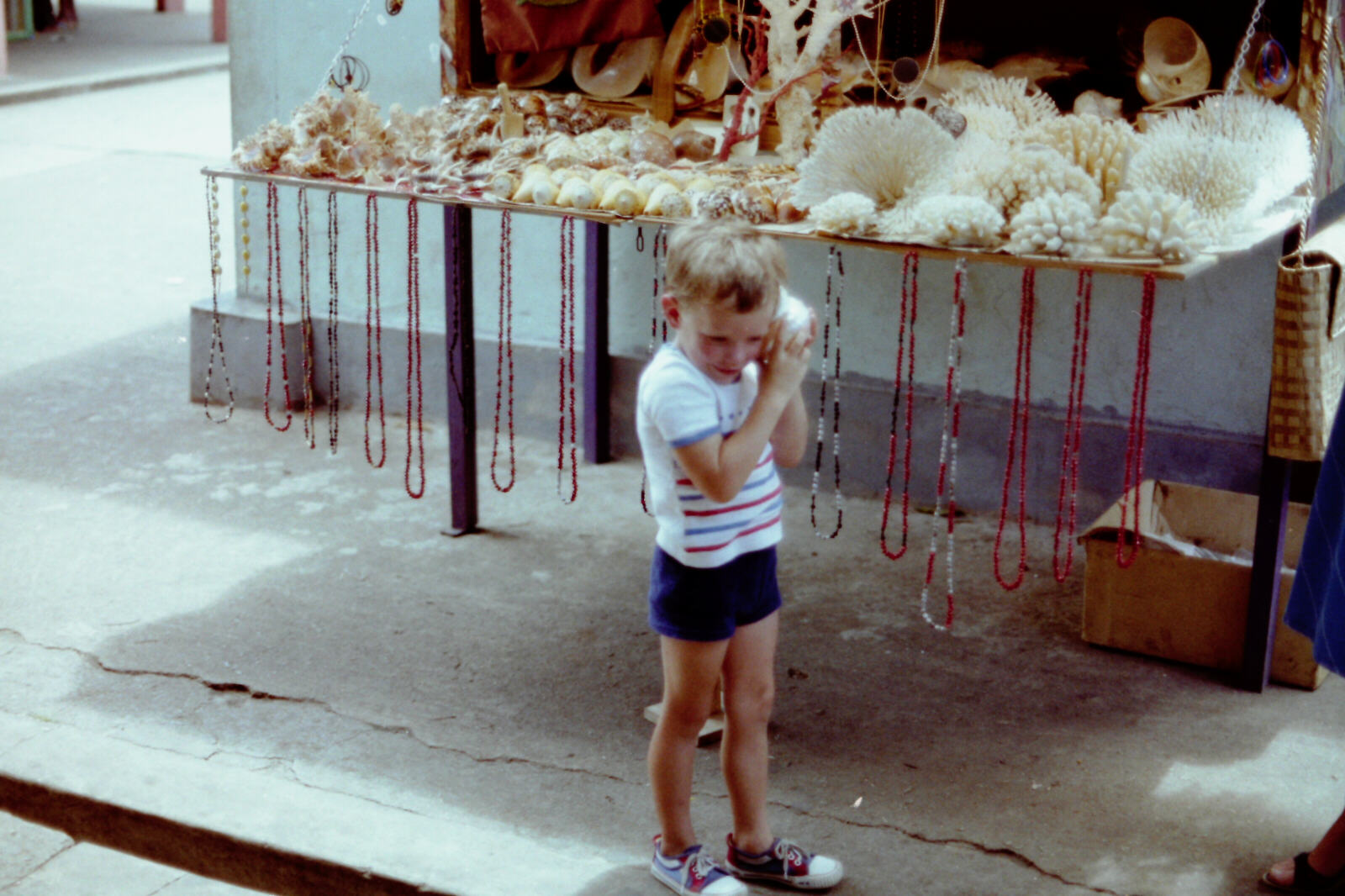 Sea-shells in the market in Victoria, Seychelles