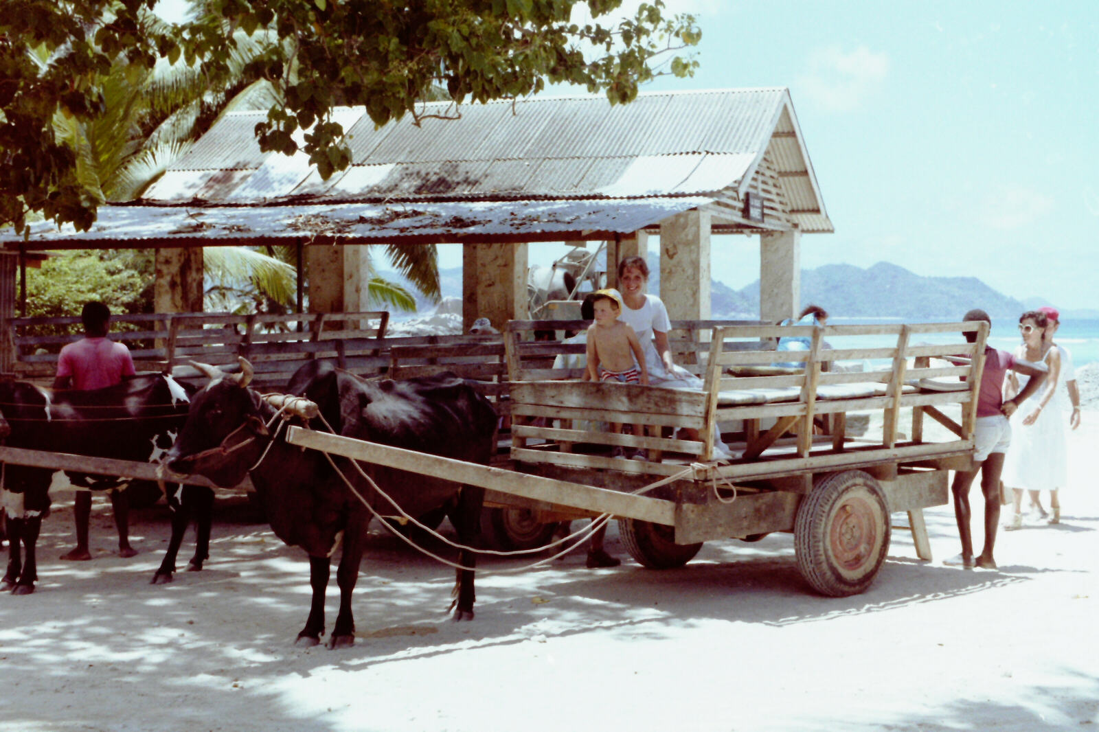 On the taxi at La Digue in the Seychelles