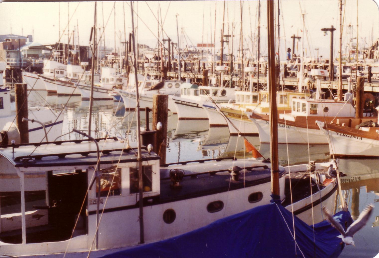 Fisherman's Wharf in San Fransisco