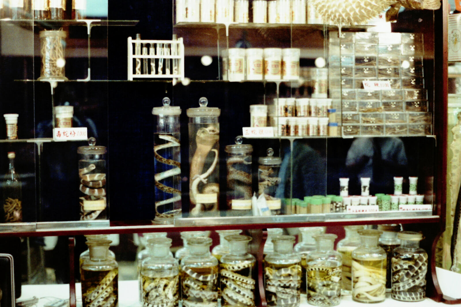 A medicine shop in Lungshan snake market in Taipei, Taiwan