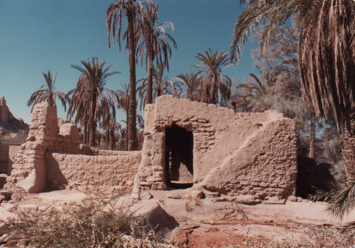 In the wadi beneath Al Diriyah near Riyadh, Saudi Arabia