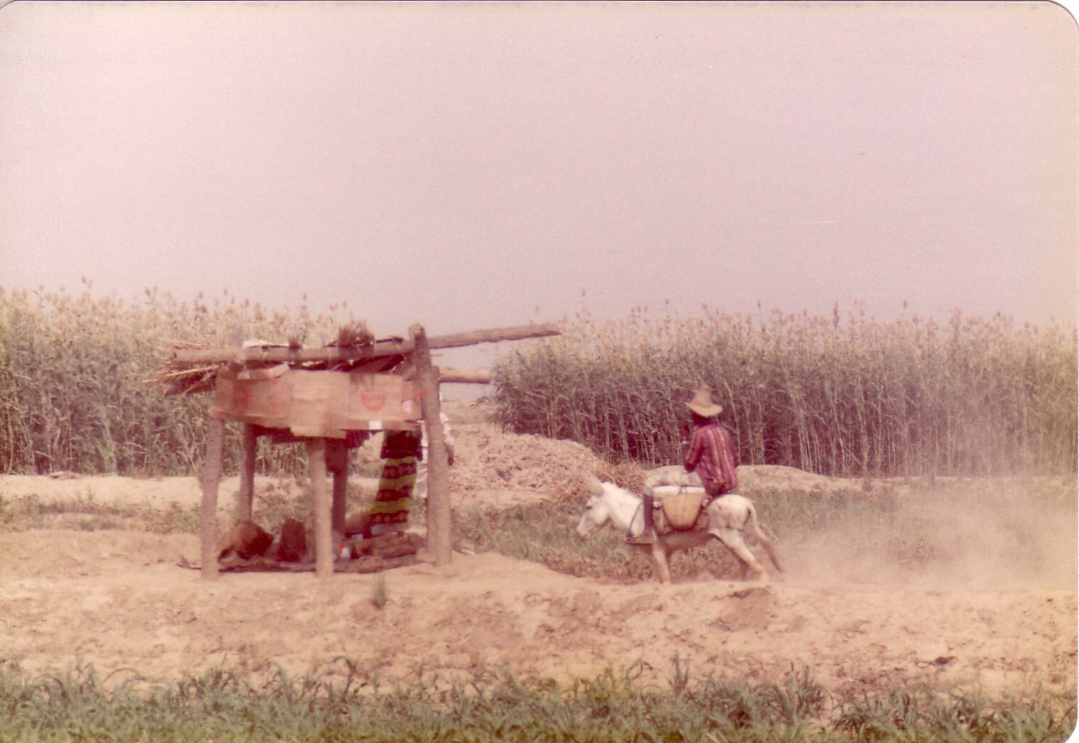 Rural life between Ad Darb and Jizan, Saudi Arabia