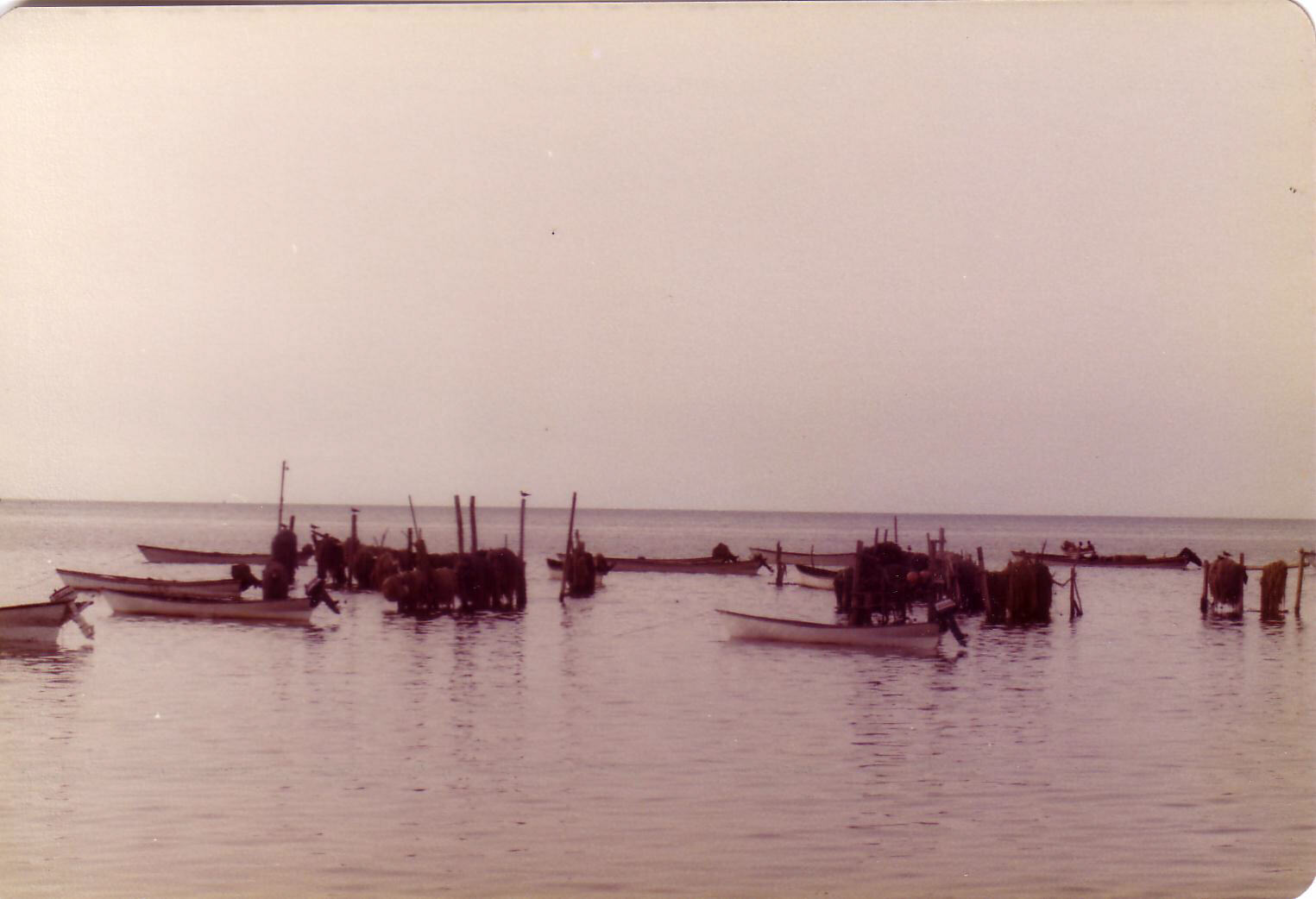 Fishing nets in Jizan harbour, Saudi Arabia