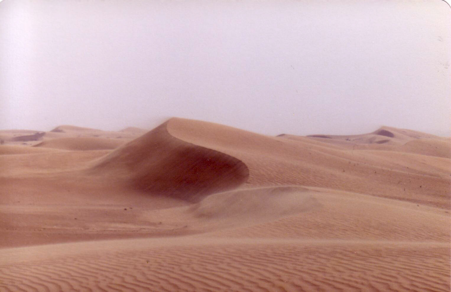 Sand dunes between Dubai and Al Ain, UAE