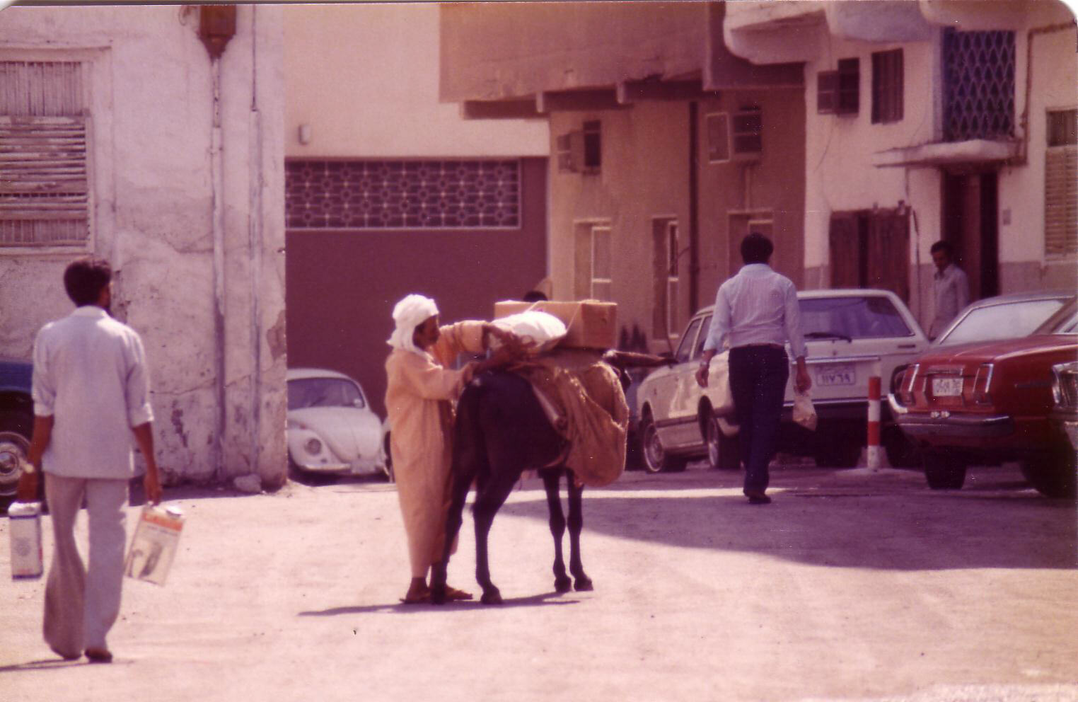 A loaded donkey in Manama, Bahrain