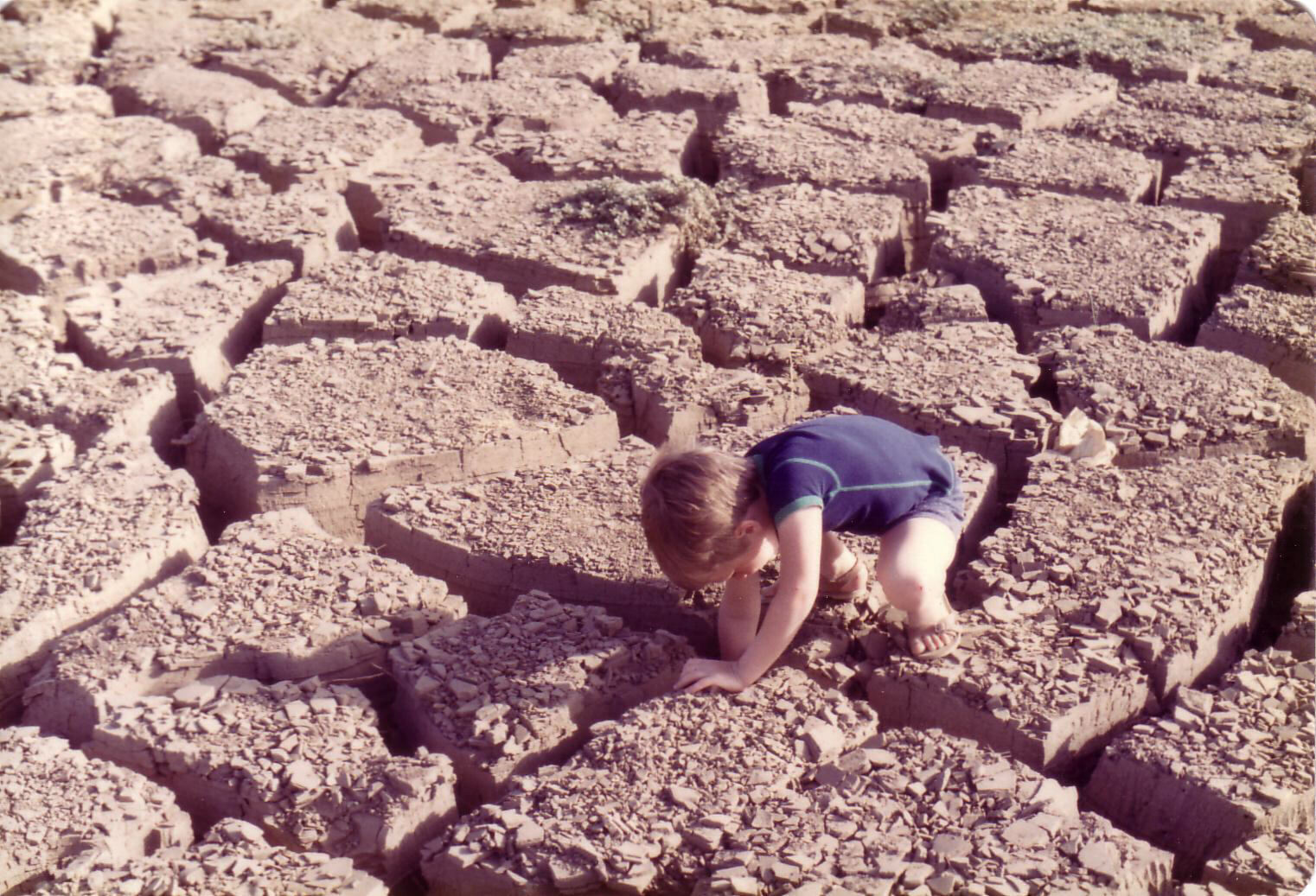 Dry riverbed on Tuti Island, Khartoum, Sudan