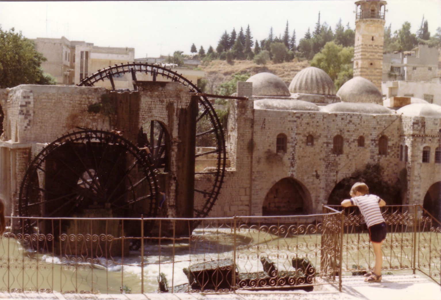 The river and waterwheels in Hama, Syria