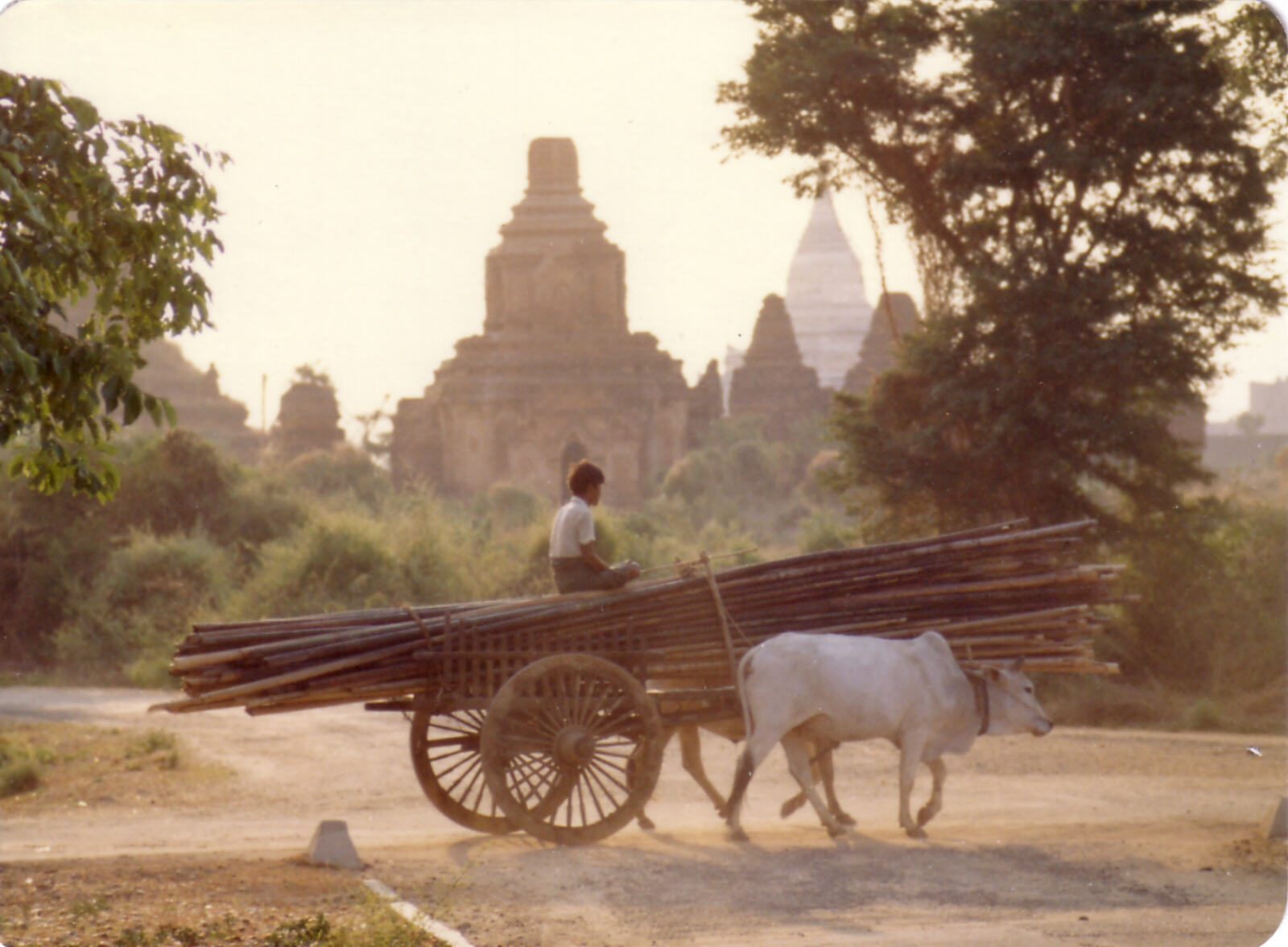 Thiripitsaya Road in Pagan, Burma