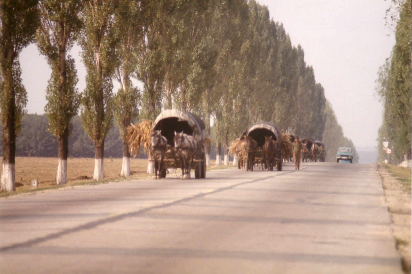 Romanies on the move in northern Romania