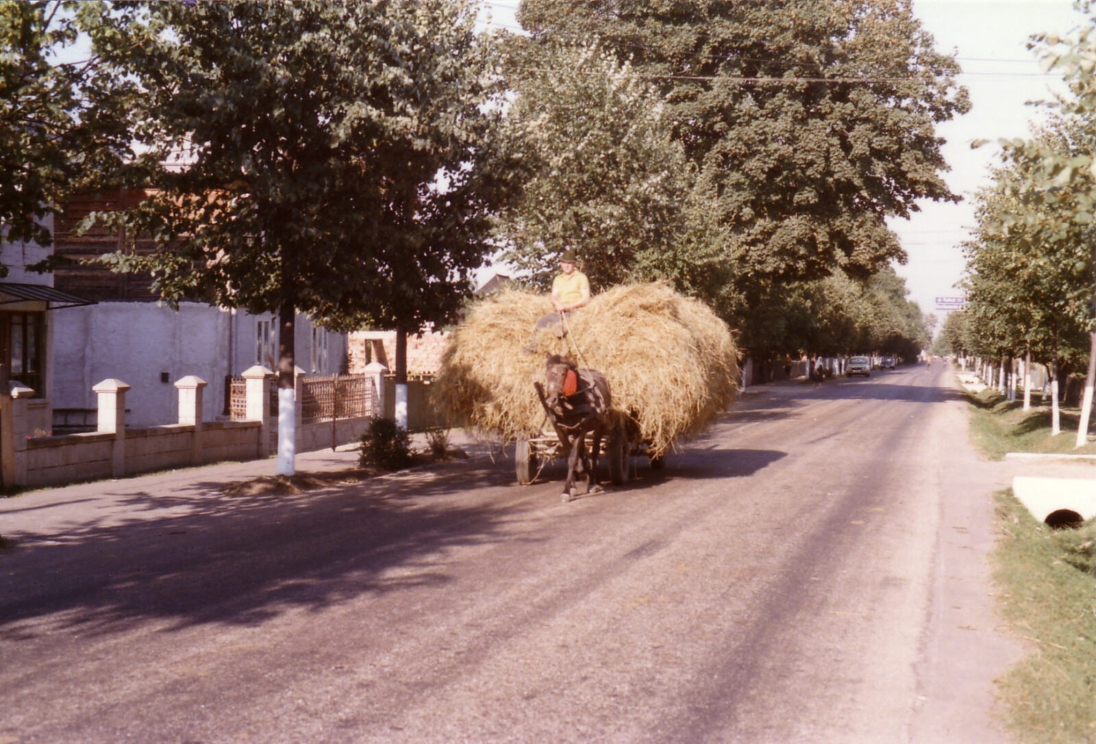 A hay waggon on the road near Suceava in Bucovina, Romania