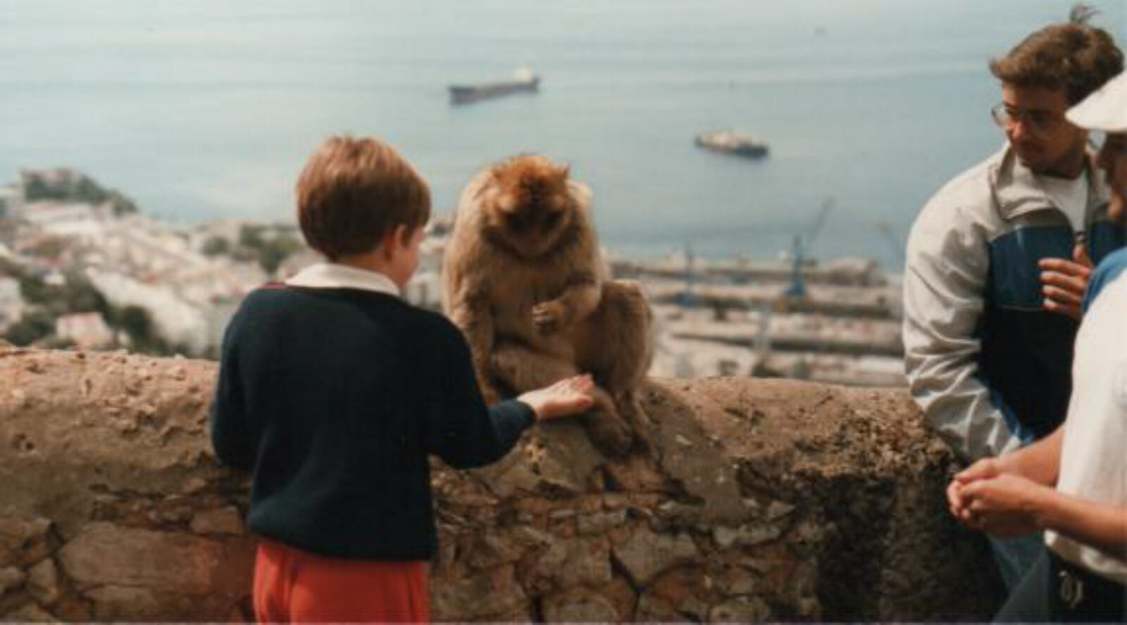 Feeding the apes on the rock of Gibraltar