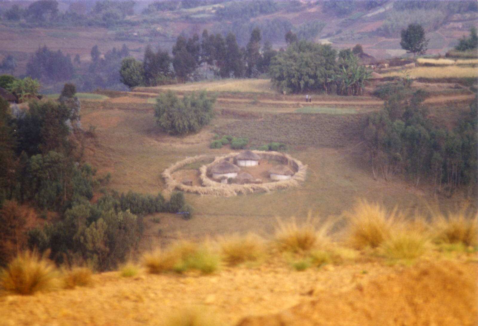 A farmstead by the road in Burundi