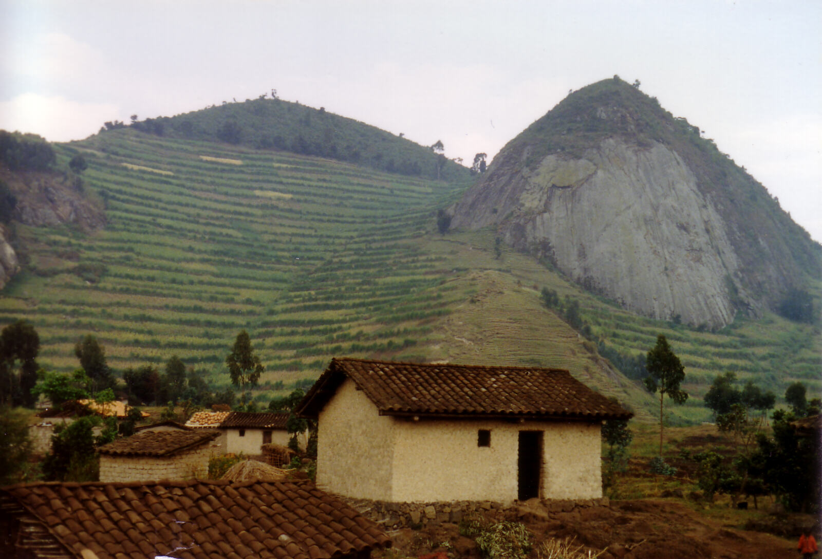 A farm by the road in Rwanda