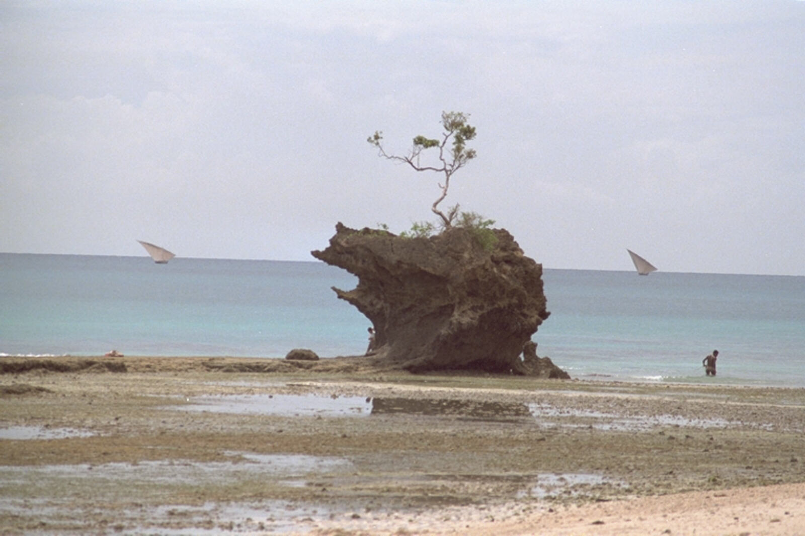 A lonely island on Mangapwani beach in Zanzibar