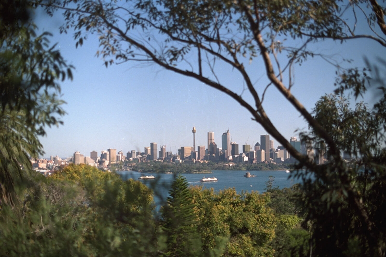 View of Sydney across the harbour from Taronga Zoo, Australia