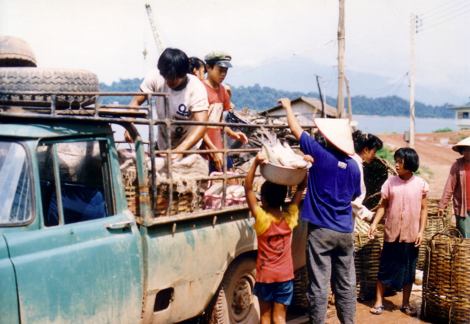 Loading fish onto a truck at Nam Ngum lake, Laos