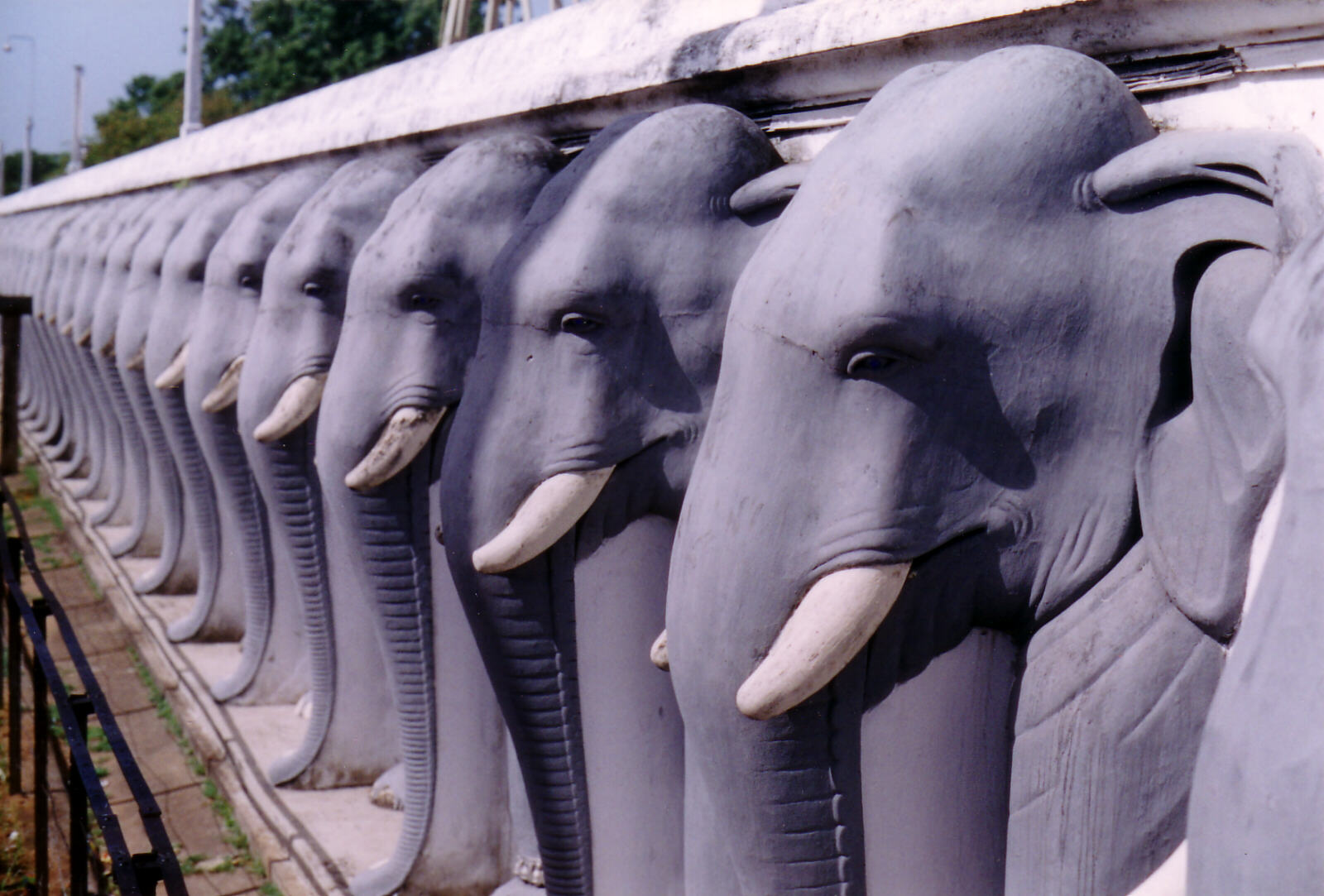 Elephants in Ruvanvelisaya Dagoba at Anuradhapura