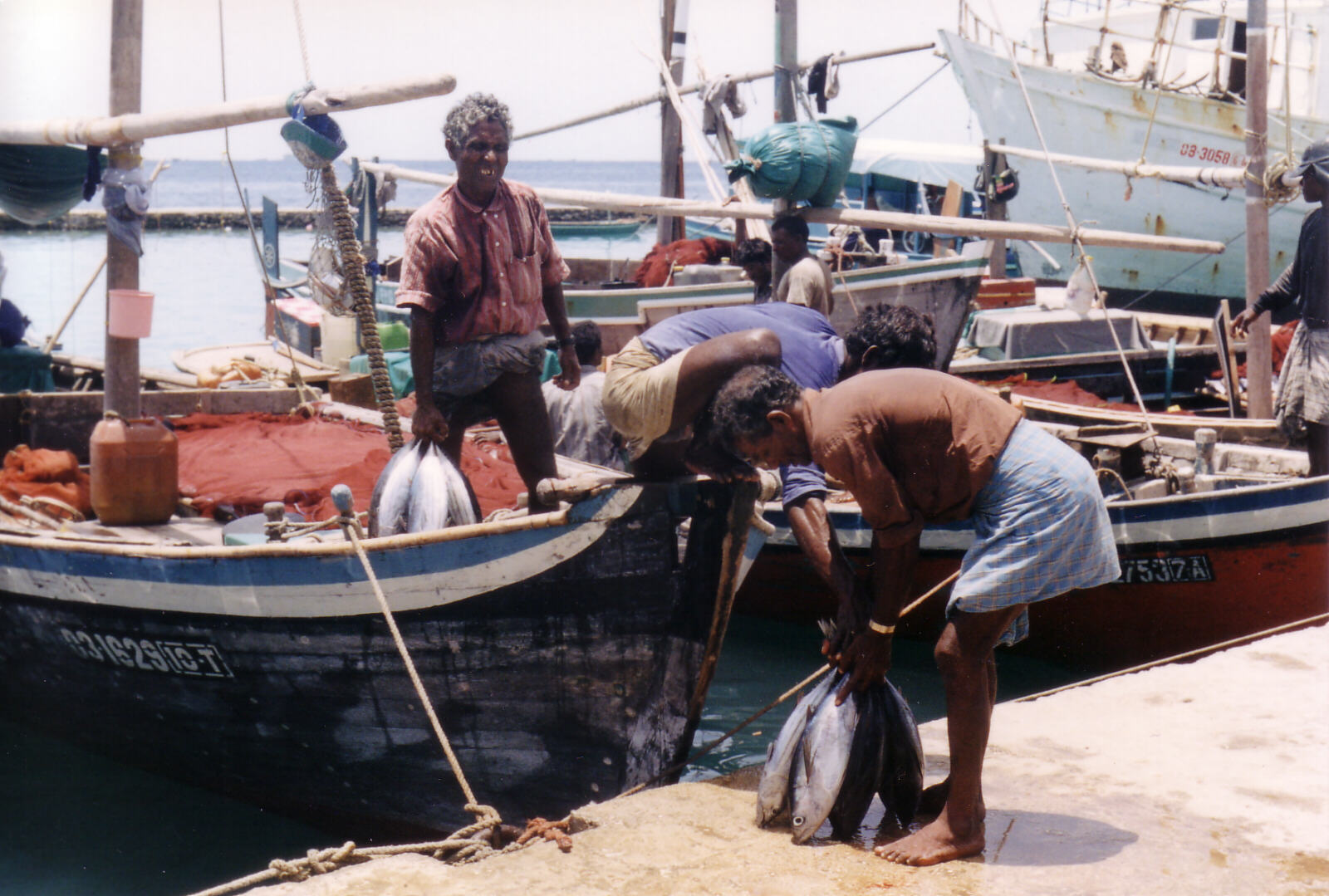 Unloading fish in the harbour in Mal, Maldives