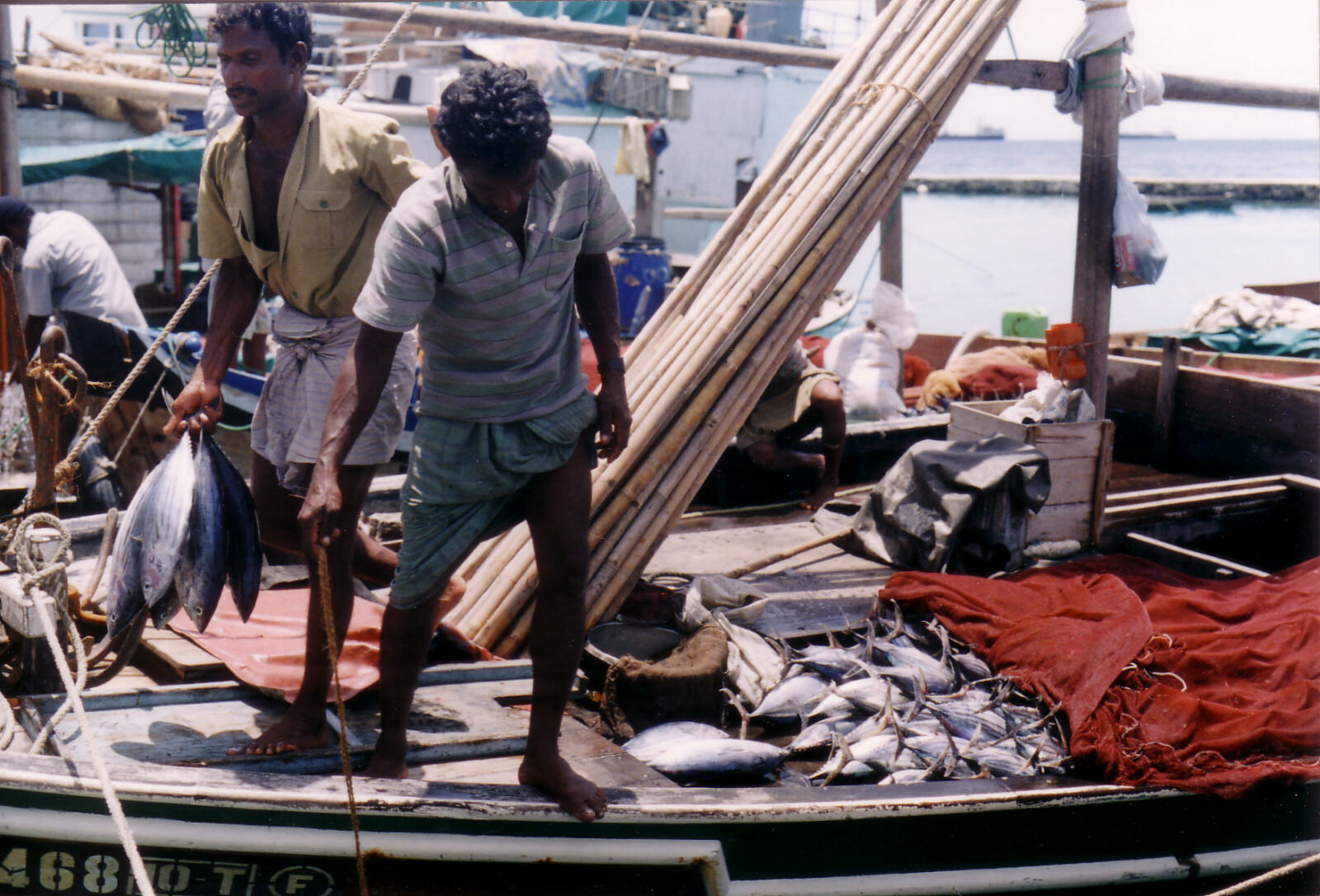 Unloading fish in the harbour in Mal, Maldives