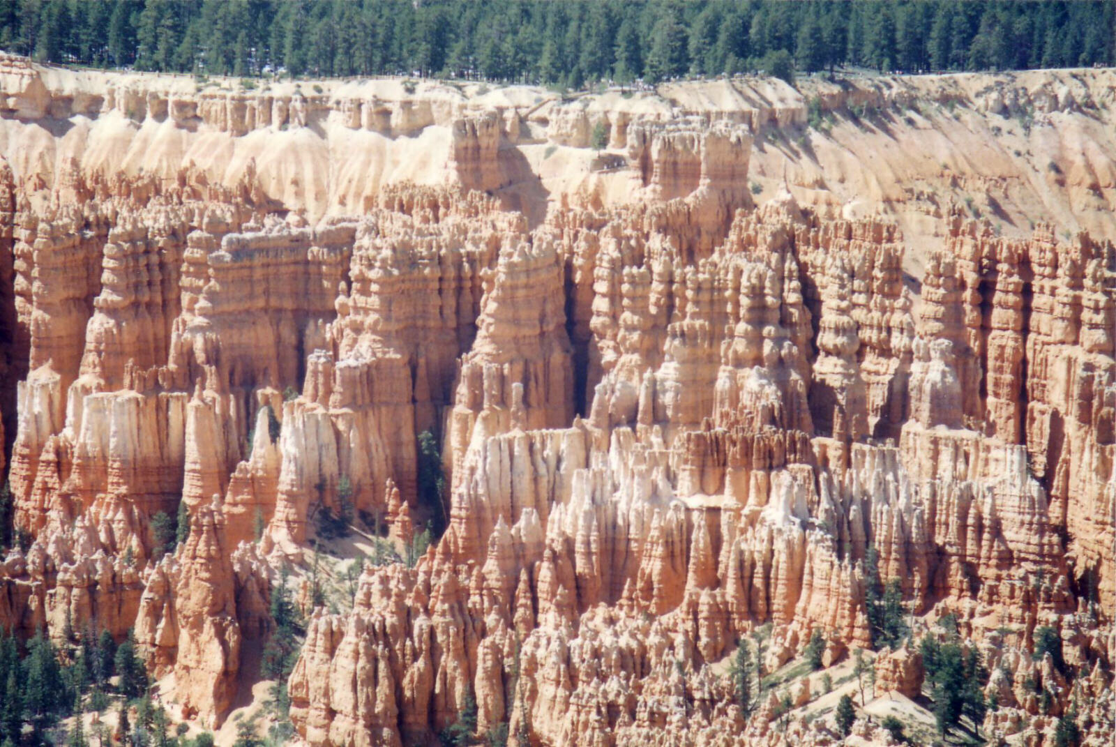 Bryce Point in Bryce Canyon National Park, Utah, USA