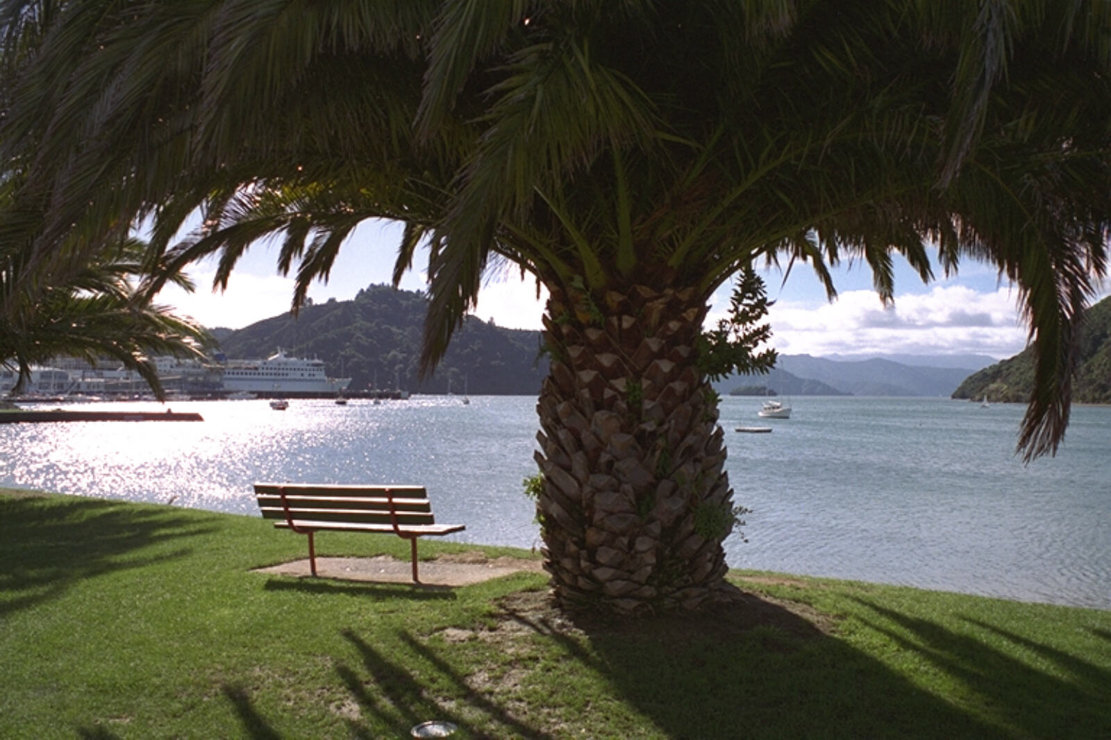 Seafront at Picton, South Island, NZ