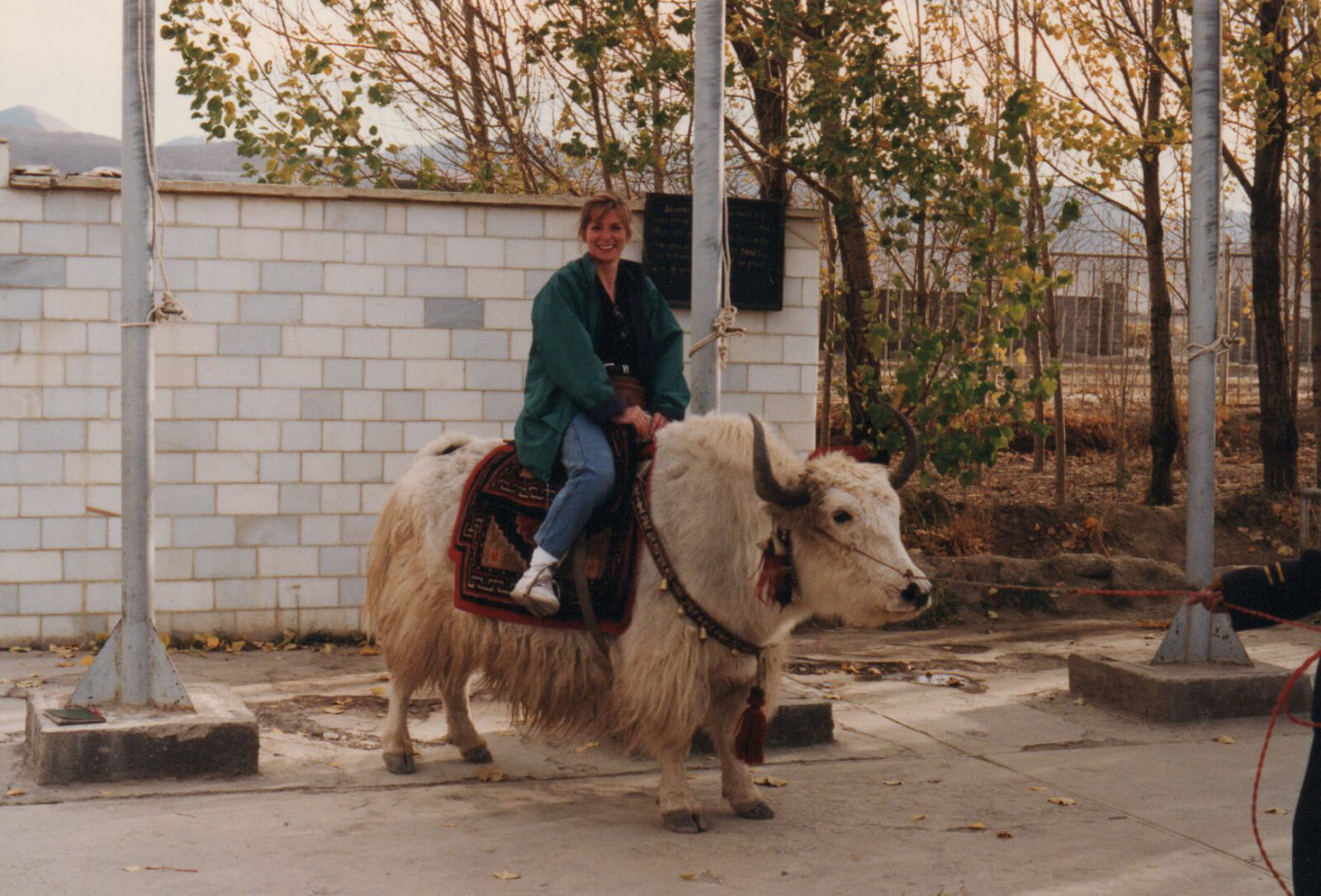 Sheila's Yak ride at Gyantse hotel, Tibet