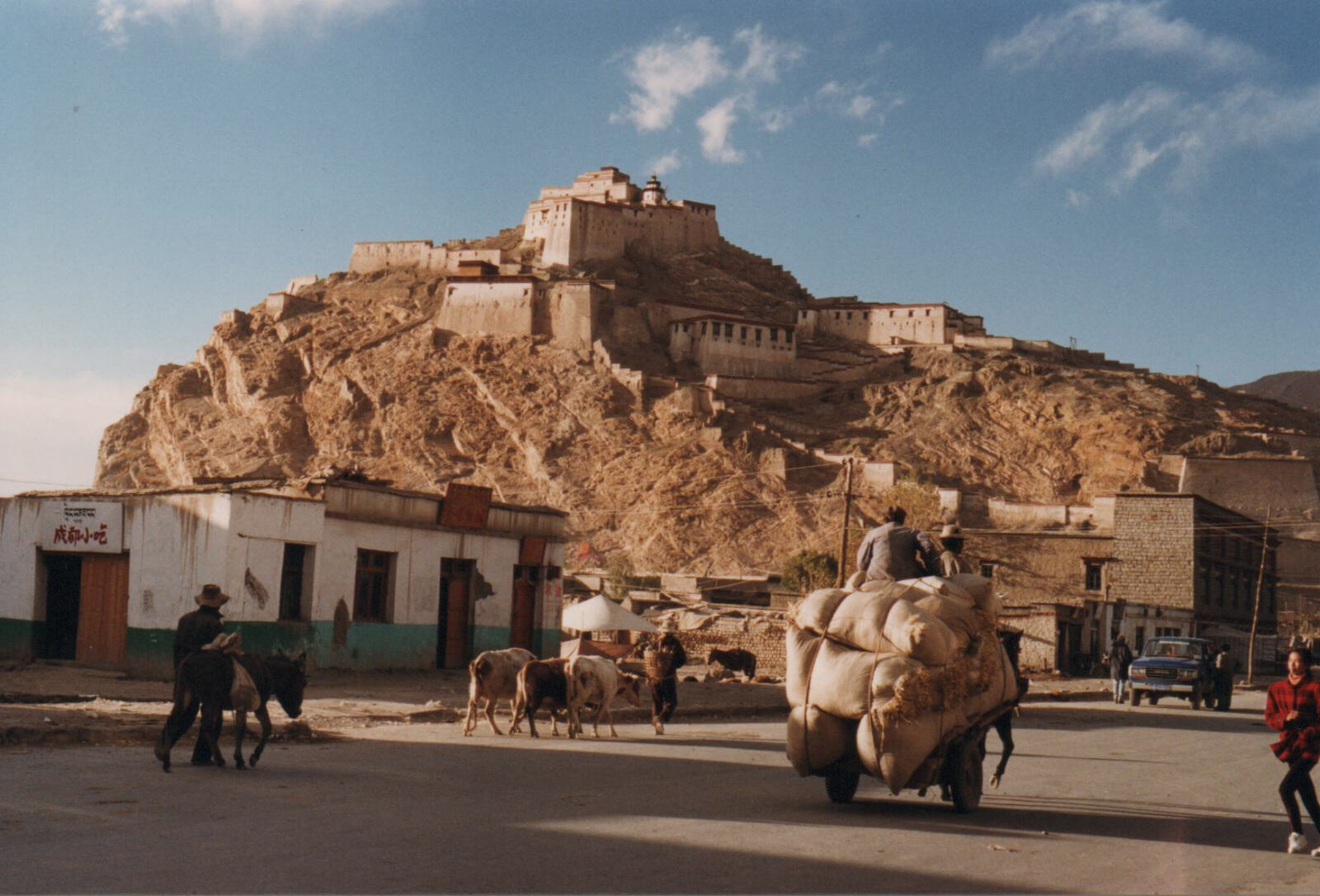 Gyantse Fort Tibet