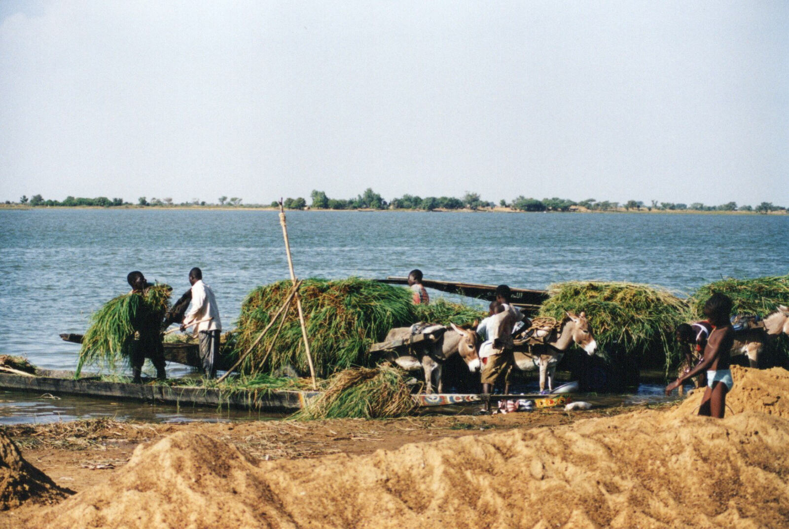 Unloading boats on the Niger riverfront in Segou, Mali